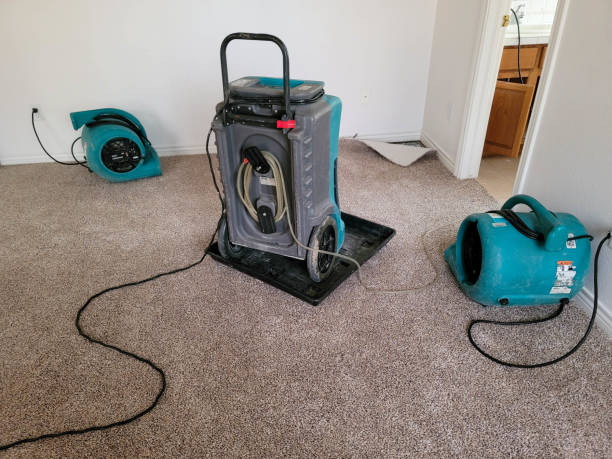 Best Carpet water damage restoration  in Moraine, OH