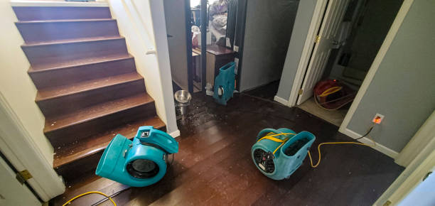 Best Professional water damage repair  in Moraine, OH