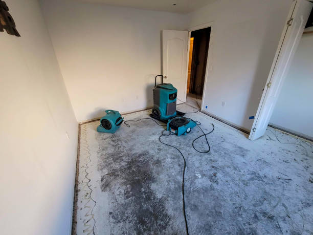 Best Local water damage restoration  in Moraine, OH