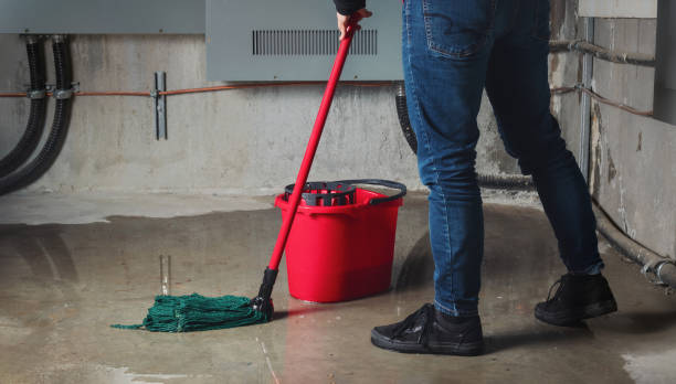 Best Carpet water damage restoration  in Moraine, OH